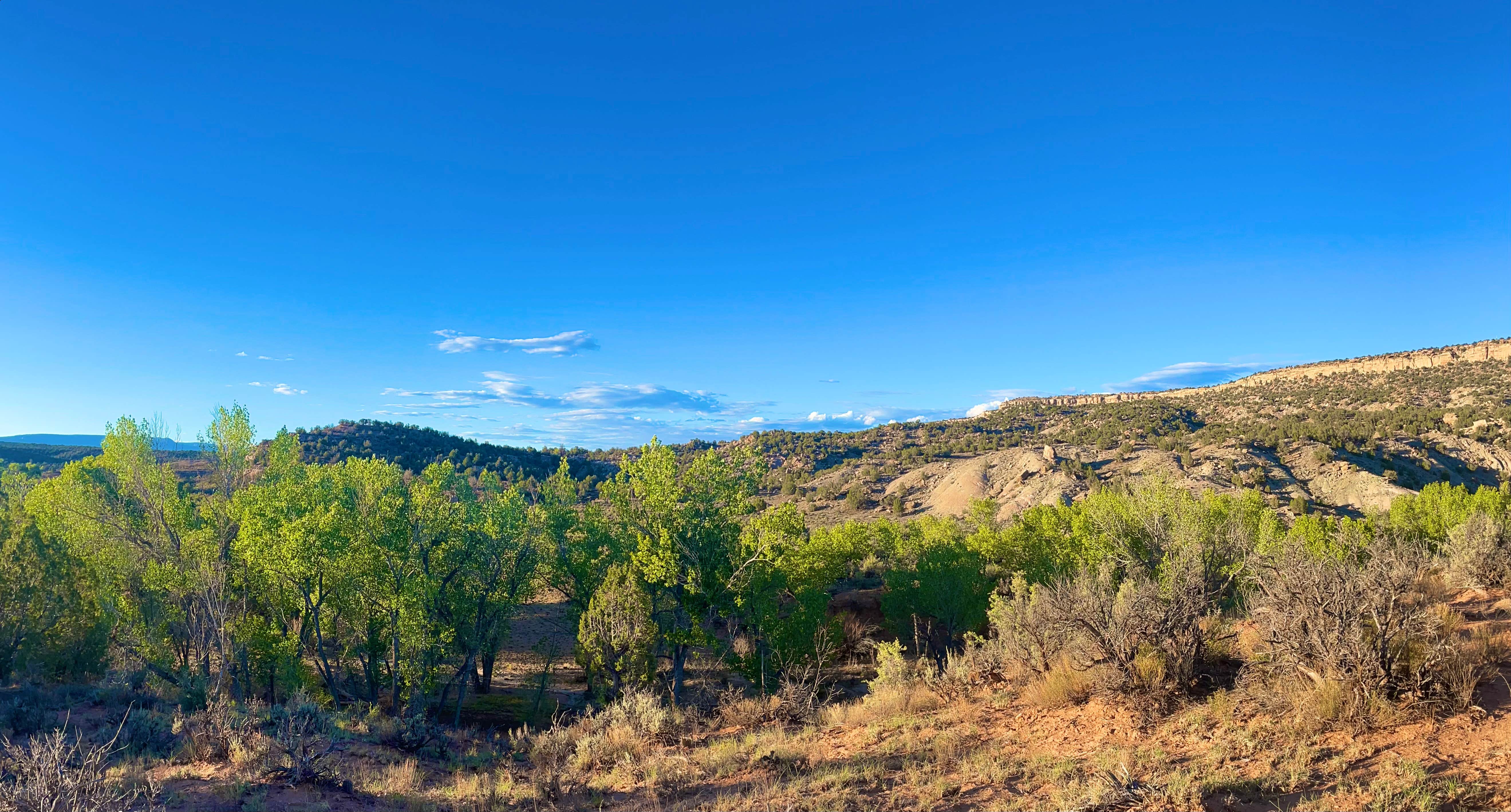 Camper-submitted photo at Cottonwood/Elk Mountain Road Dispersed Campsite near Blanding, UT