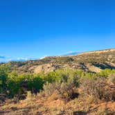 Review photo of Cottonwood/Elk Mountain Road Dispersed Campsite by Pamela M., September 21, 2025