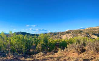 Pamela M.'s photo of a dispersed camping area at Cottonwood/Elk Mountain Road Dispersed Campsite near Monticello, UT