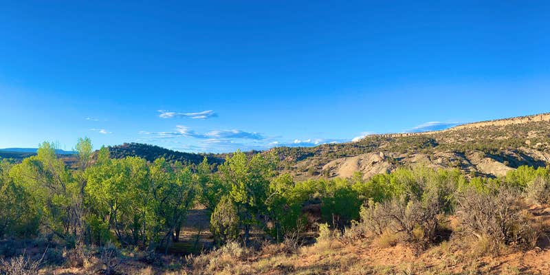 Camper submitted image from Cottonwood/Elk Mountain Road Dispersed Campsite