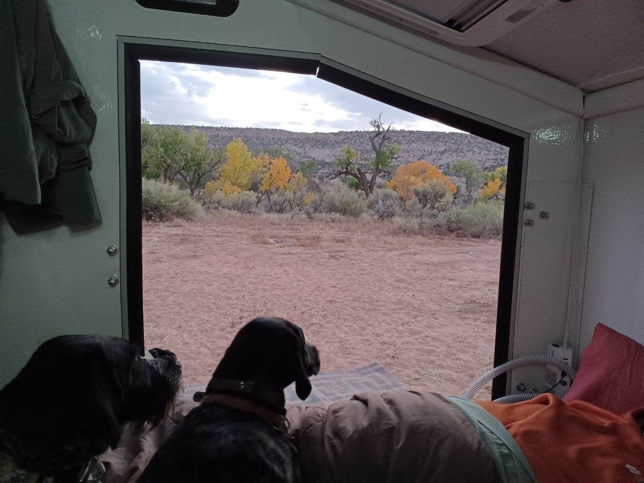 Camper submitted image from Cottonwood/Elk Mountain Road Dispersed Campsite - 2