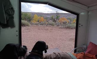Bryan P.'s photo of camping with pets at Cottonwood/Elk Mountain Road Dispersed Campsite near Blanding, UT