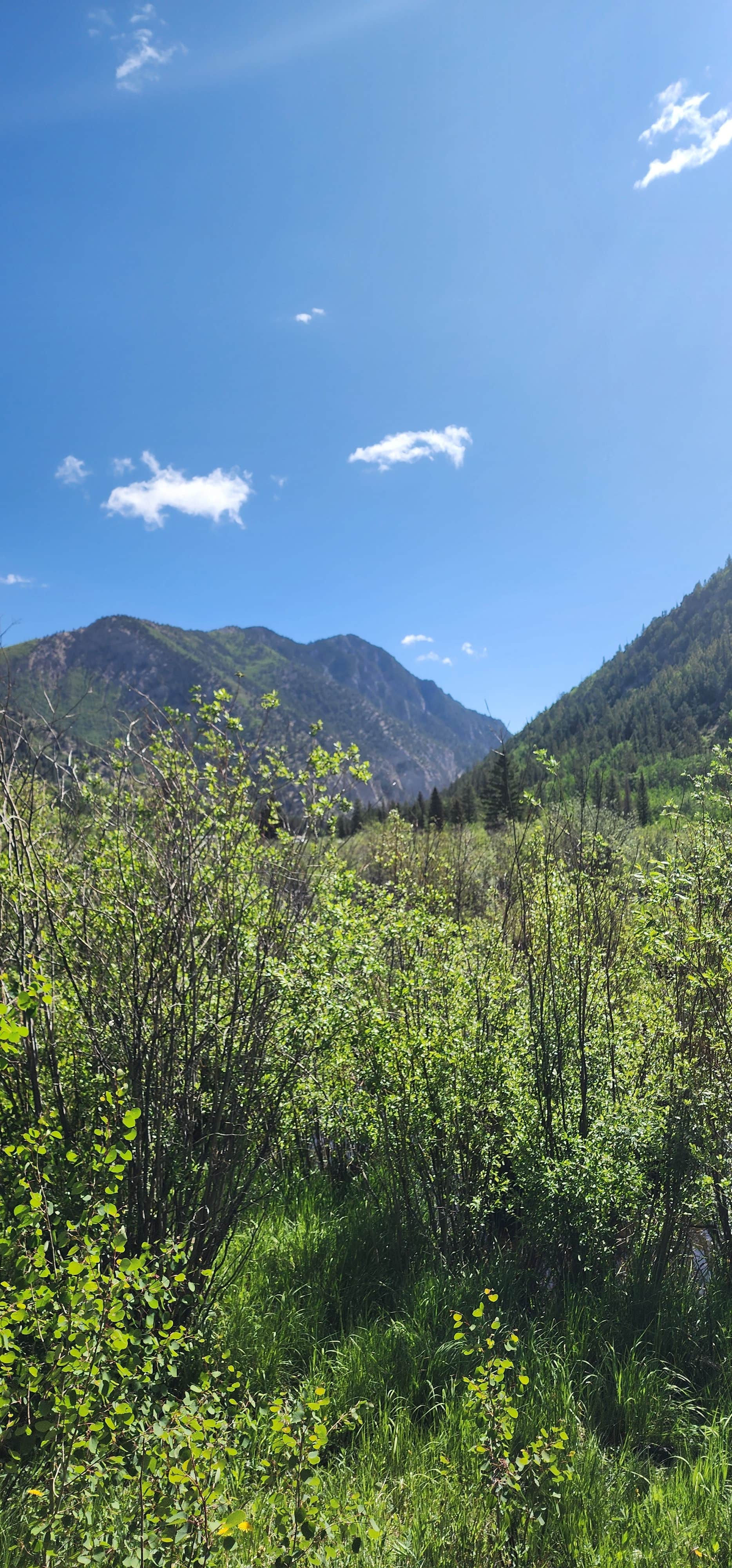 Camper submitted image from Cottonwood Lake Dispersed Camping - 2