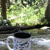 Review photo of Cottonwood Lake Dispersed Camping by Sabrina G., July 3, 2025