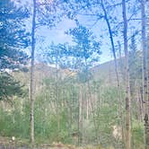 Review photo of Cottonwood Lake Dispersed Camping by jeni B., July 16, 2026