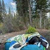 Review photo of Cottonwood Lake Dispersed Camping by Steve R., June 7, 2025