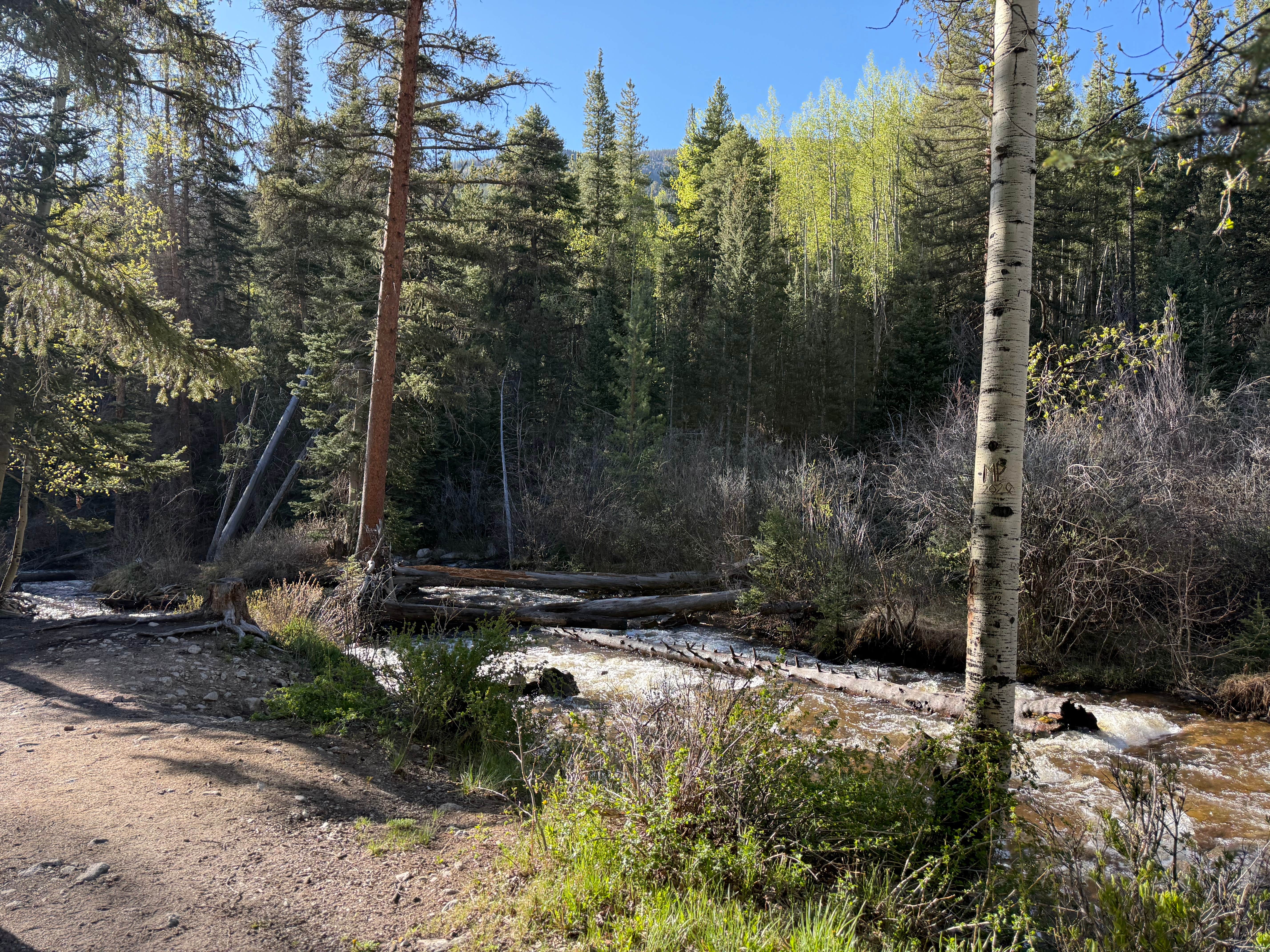 Camper submitted image from Cottonwood Lake Dispersed Camping - 5