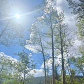 Review photo of Cottonwood Lake Dispersed Camping by jeni B., July 16, 2026