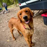 Review photo of Cottonwood Lake Dispersed Camping by Carrie B., March 23, 2026