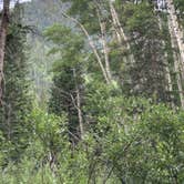 Review photo of Cottonwood Lake Dispersed Camping by Sabrina G., July 3, 2025