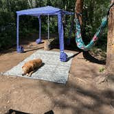 Review photo of Cottonwood Lake Dispersed Camping by Sabrina G., July 3, 2025