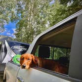 Review photo of Cottonwood Lake Dispersed Camping by Carrie B., March 23, 2026