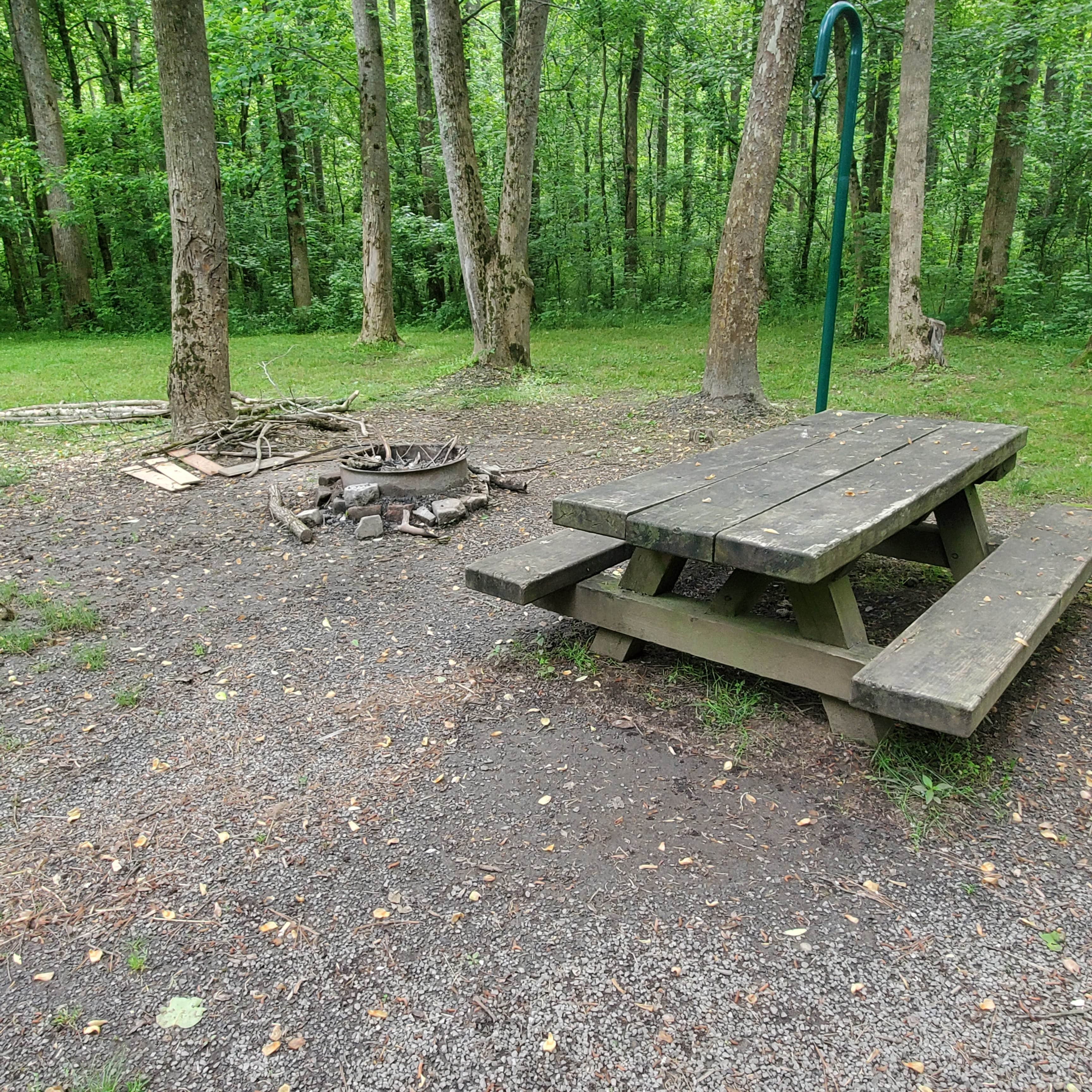 Camper-submitted photo at Cottonwood Patch Campground near Etowah, TN