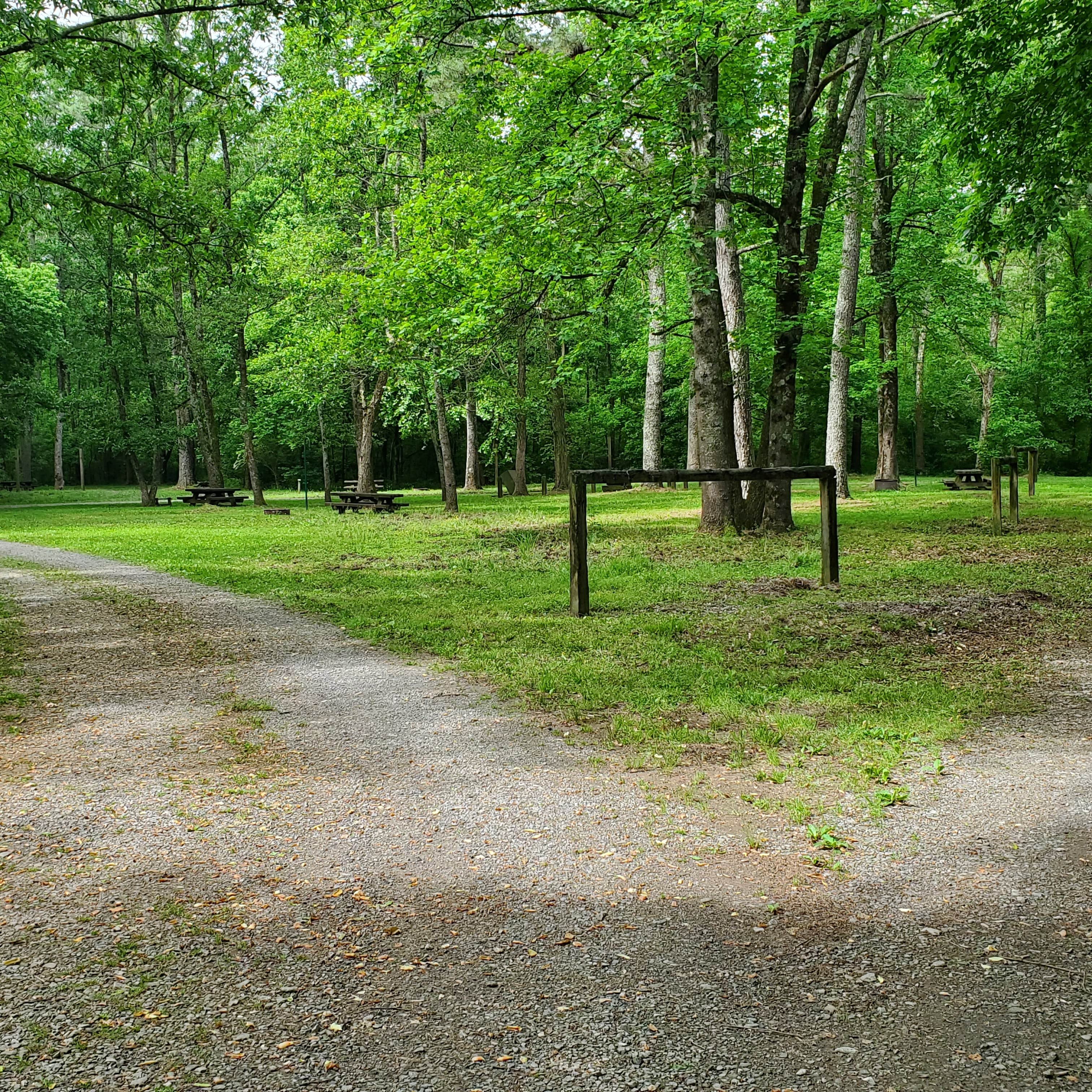 Camper-submitted photo at Cottonwood Patch Campground near Etowah, TN