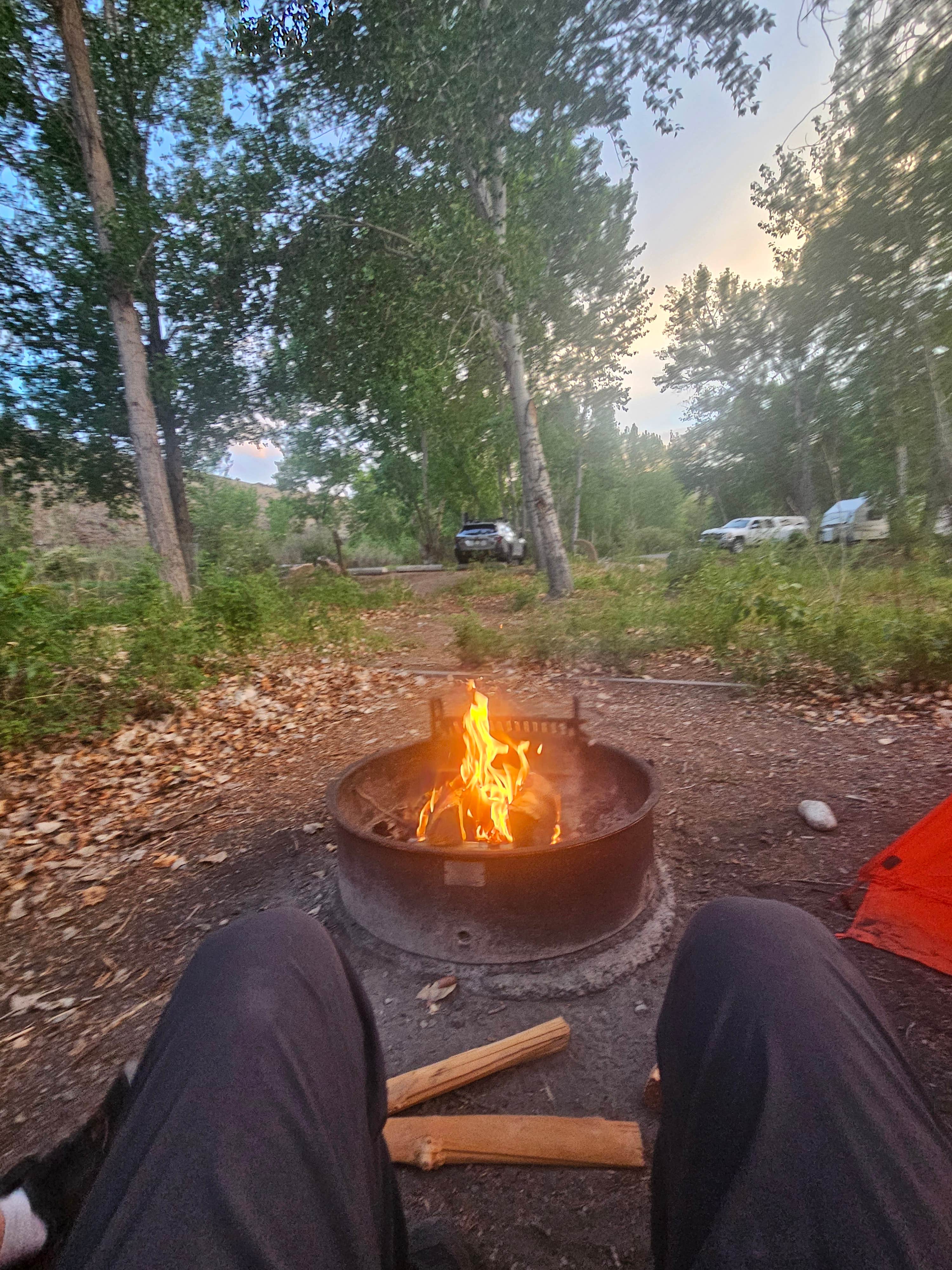 Camper submitted image from Cottonwood Recreation Site - 1