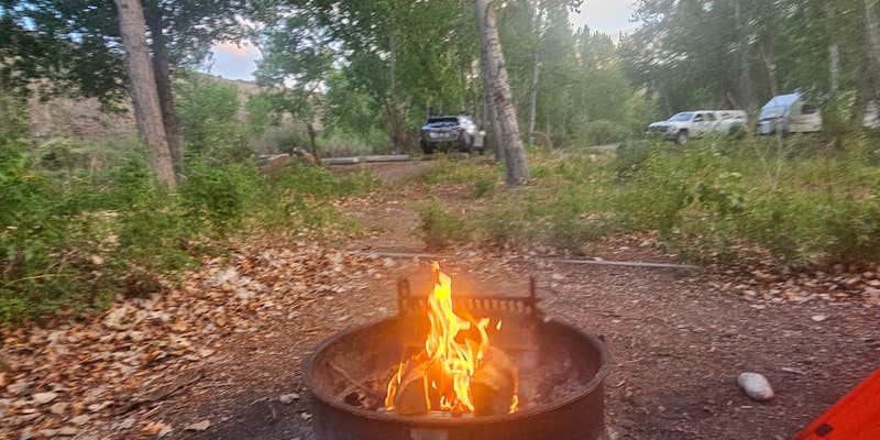 Camper submitted image from Cottonwood Recreation Site