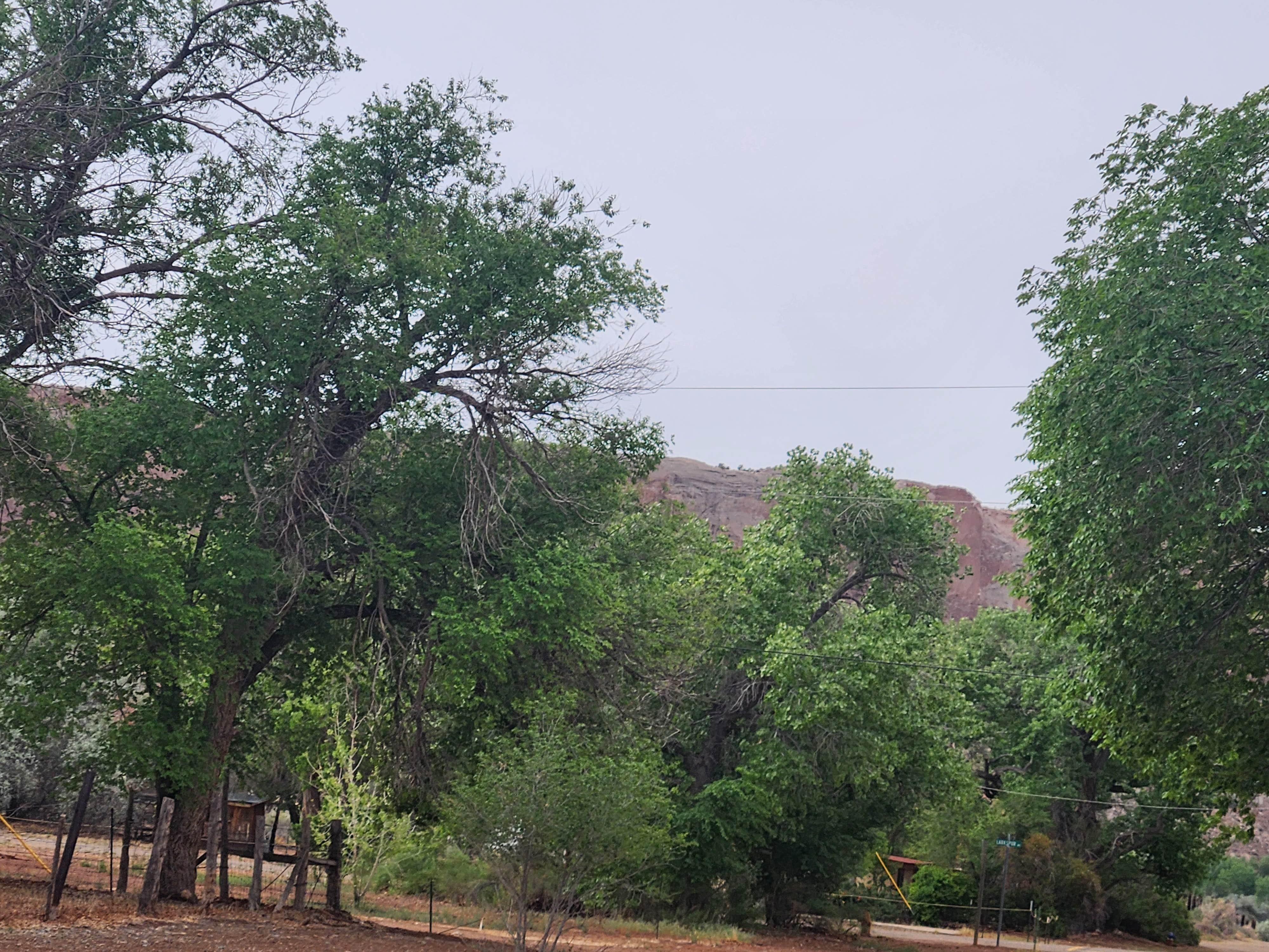 Camping near Sand Island Recreation Area — Bears Ears National Monument: Coral Sands RV Park, Bluff, Utah