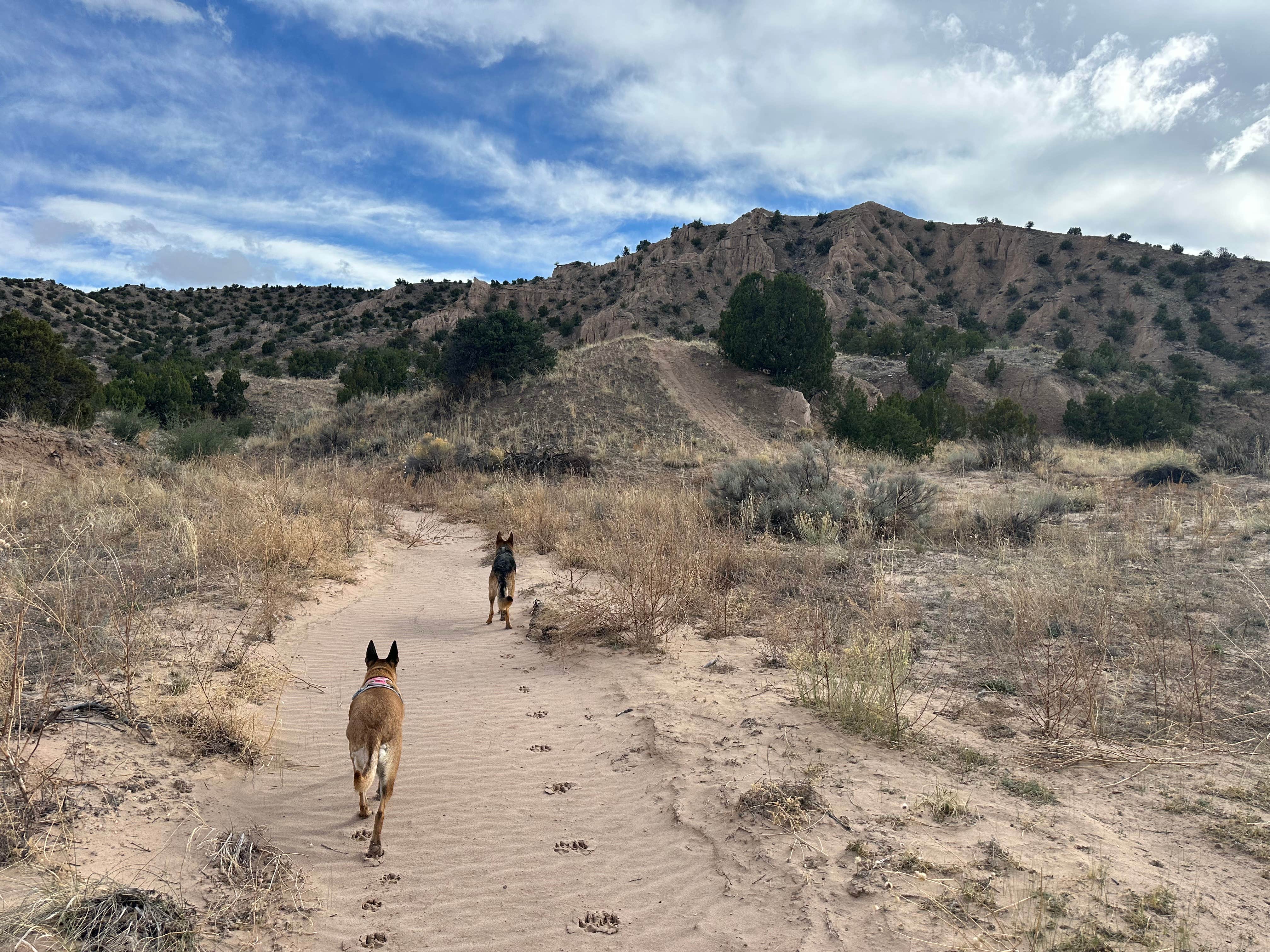 Camper-submitted photo at Cottonwood RV Park near Española, NM