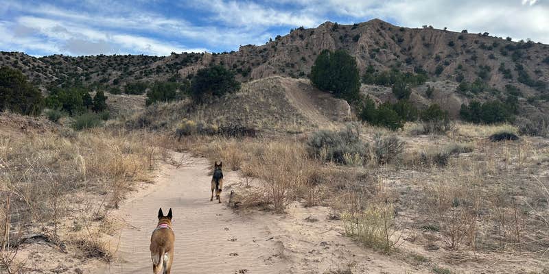 Camper submitted image from Cottonwood RV Park