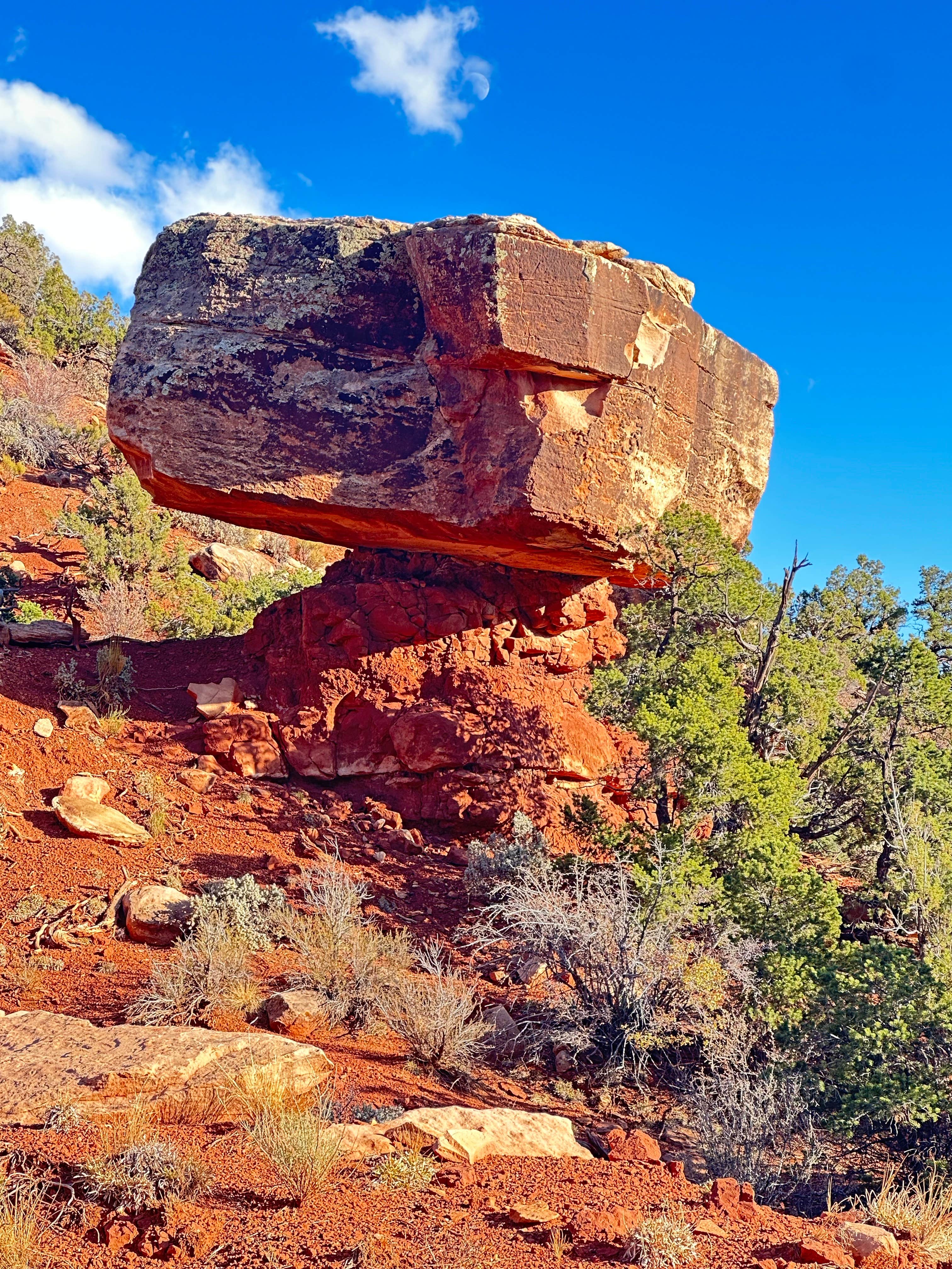 Camper-submitted photo at Cottonwood RV Park near Oljato-Monument Valley, UT