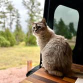 Review photo of Cottonwood Springs Campground by Gregg & Sally W., July 31, 2025
