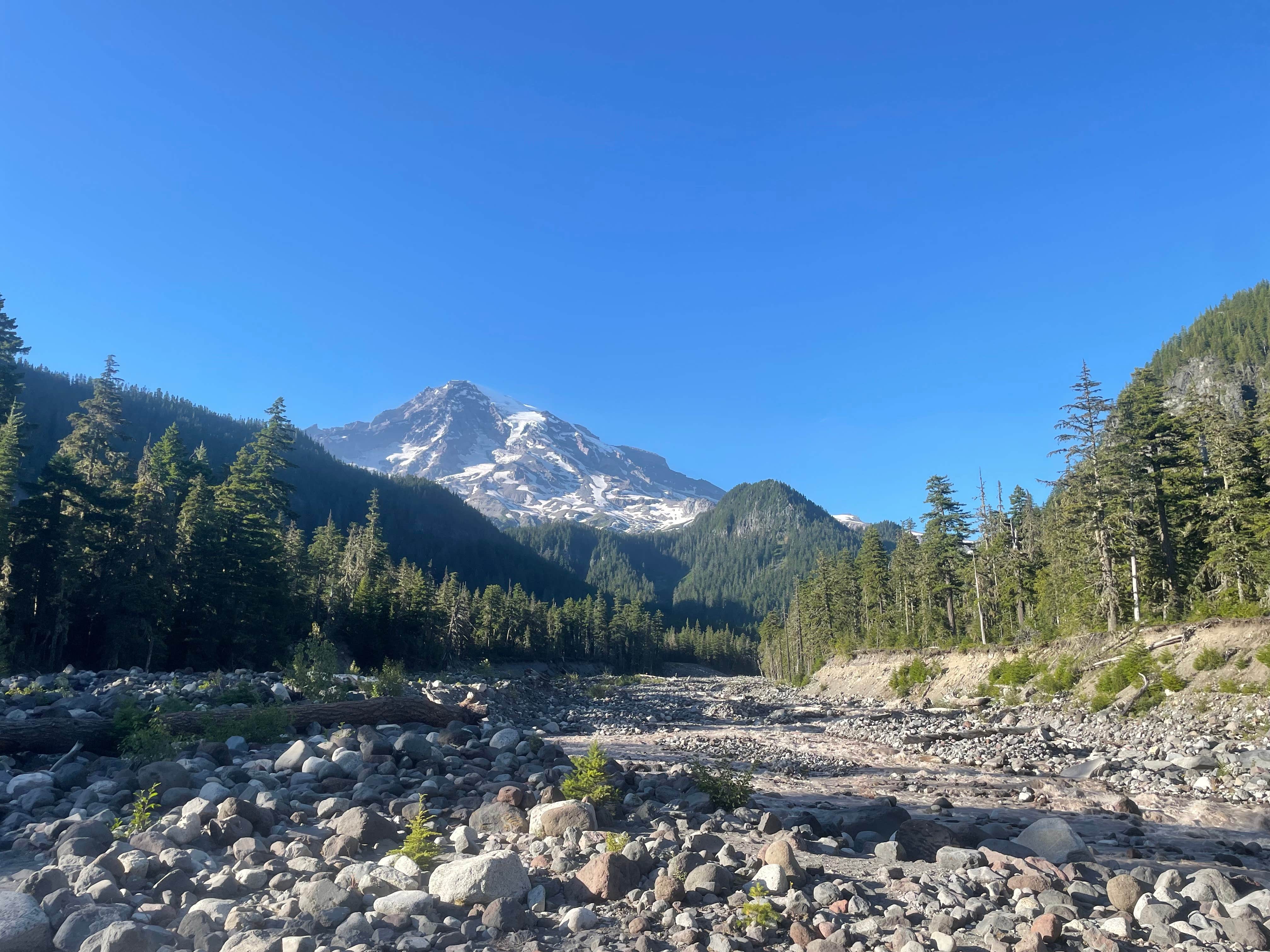 Camper submitted image from Cougar Rock Group Campground — Mount Rainier National Park - 4