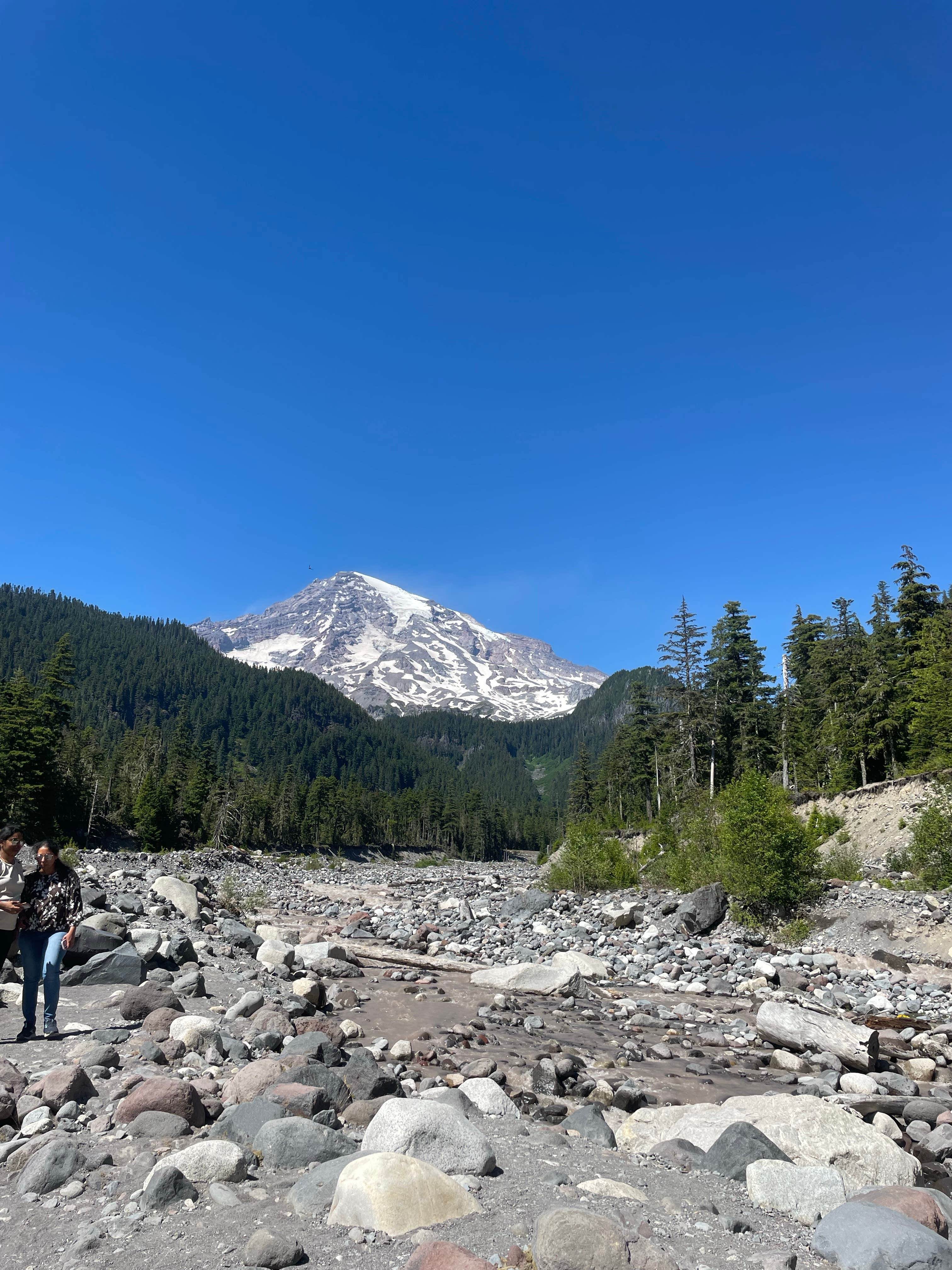 Camper submitted image from Cougar Rock Group Campground — Mount Rainier National Park - 5
