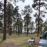 Review photo of Could turn around with a small trailer by Joshua  M., April 16, 2026