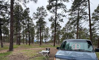 Joshua M.'s photo at Could turn around with a small trailer near Tierra Amarilla, NM