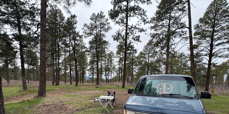 Camper submitted image from Could turn around with a small trailer