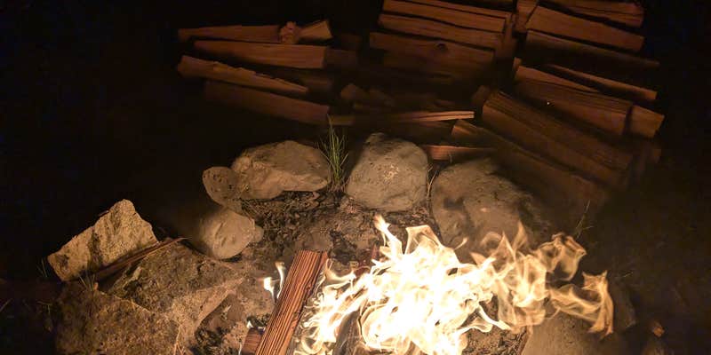 Camper submitted image from Coulee Playland Resort