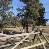 Review photo of Coulter Bay Campground — Keyhole State Park by Catherine P., September 2, 2025