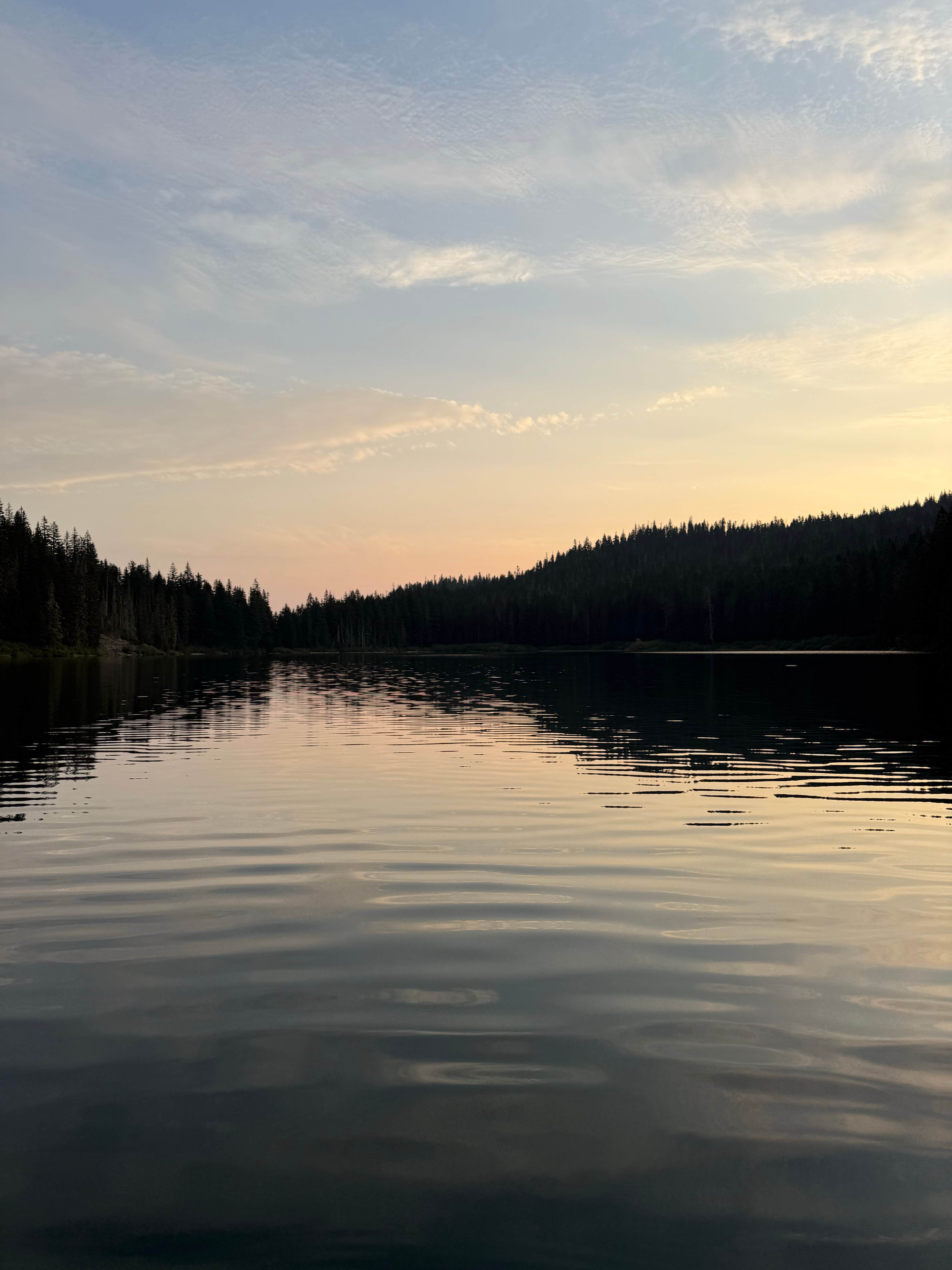 Camper-submitted photo at Council Lake near Gifford Pinchot National Forest
