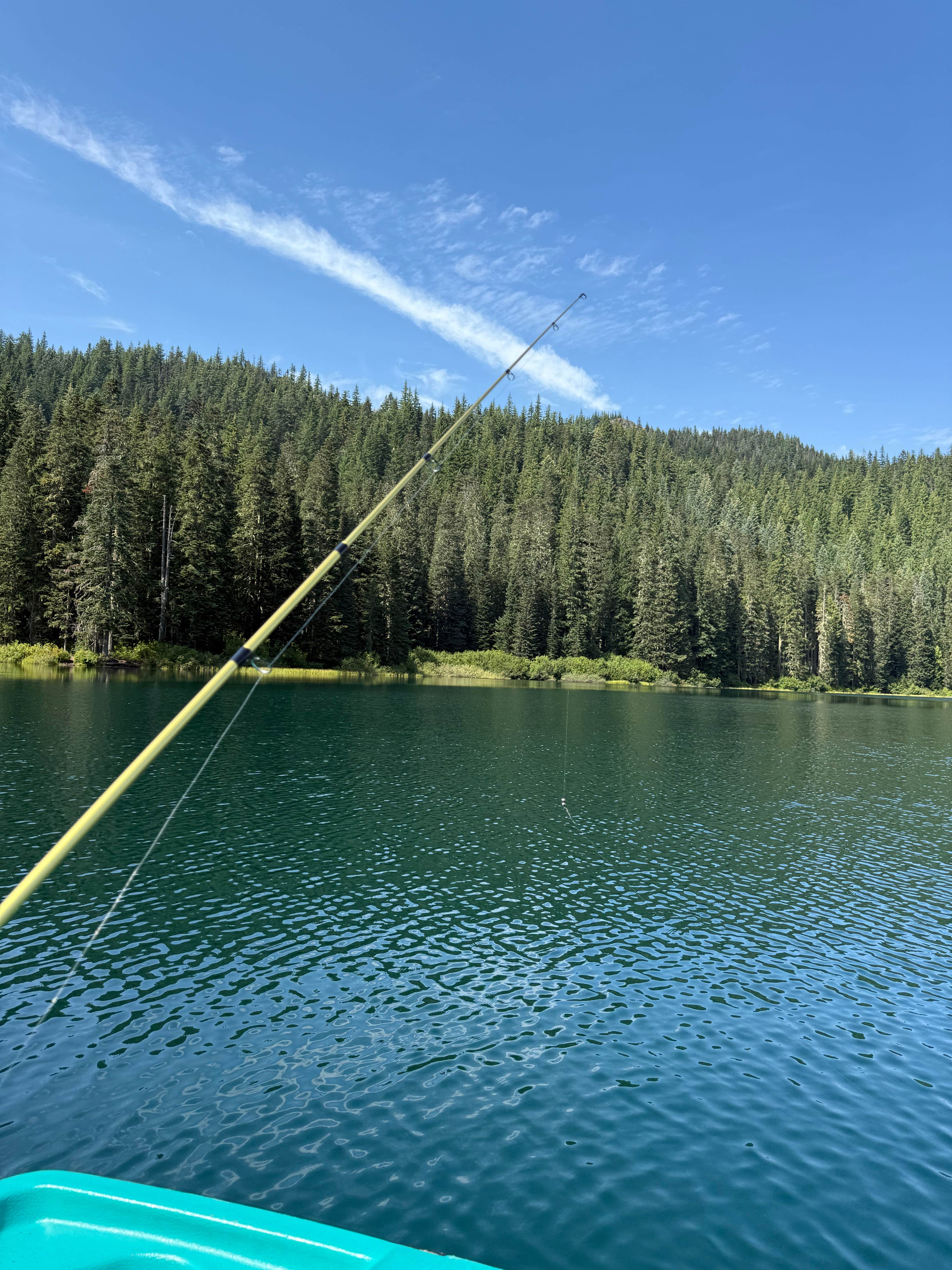 Camper-submitted photo at Council Lake near Gifford Pinchot National Forest