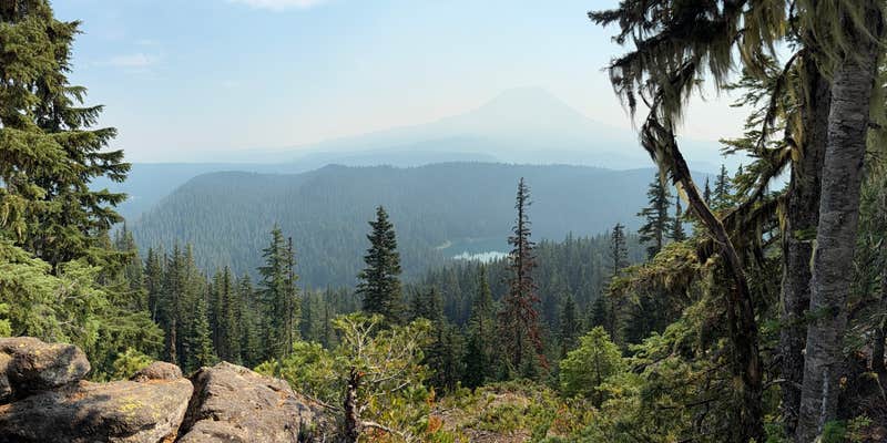 Camper submitted image from Council Lake