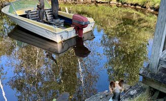 Mindie C.'s photo of camping with pets at Country Bumpkins Campground and Cabins near West Newbury, VT