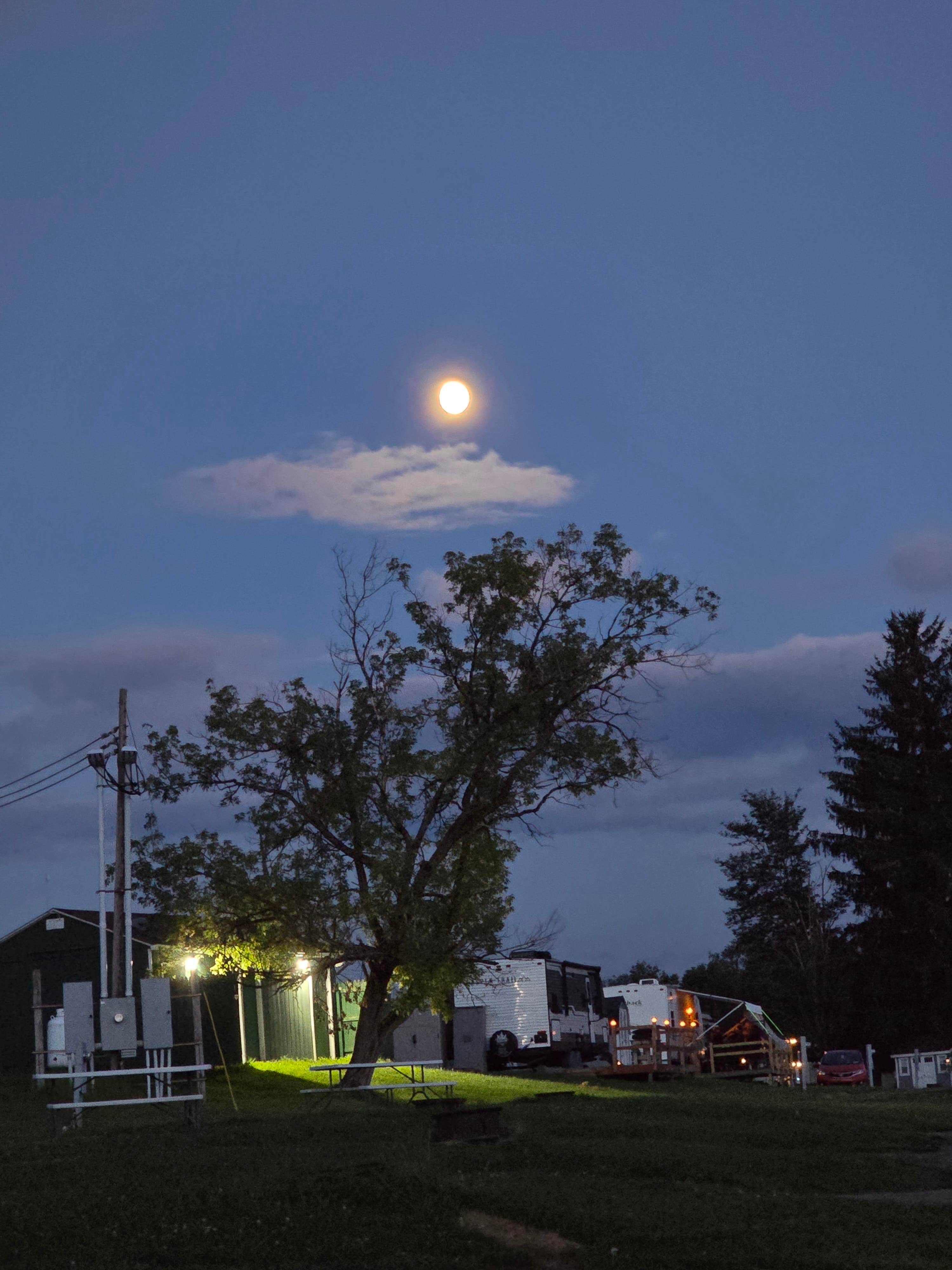 Camper-submitted photo at Country Hills Campground near Marathon, NY