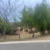 Review photo of Country Hills RV Park Resort by Carly B., November 21, 2025