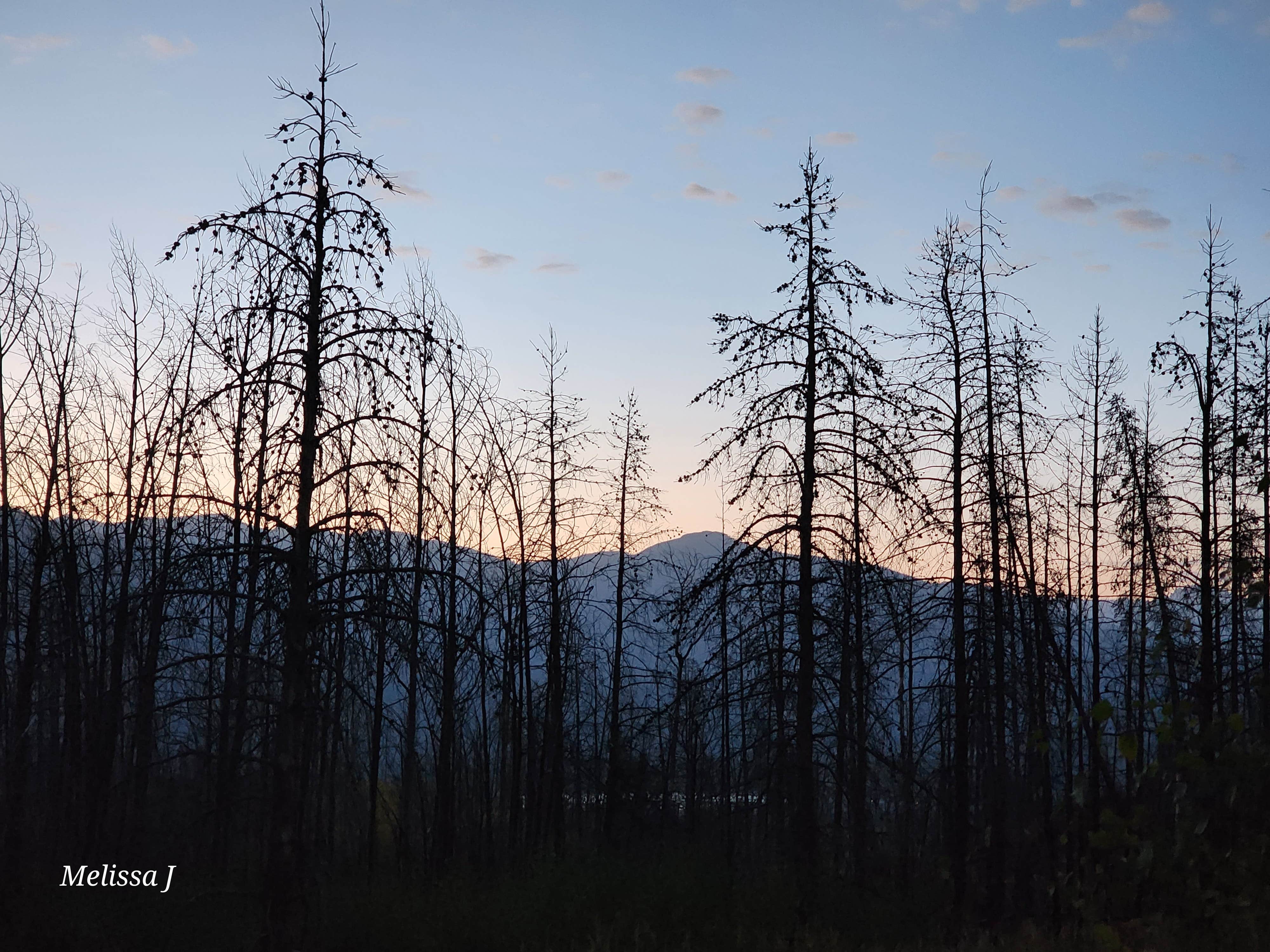Camping near Grand Lake / Rocky Mountain National Park KOA Journey: Country Road 455 Camp, Grand Lake, Colorado