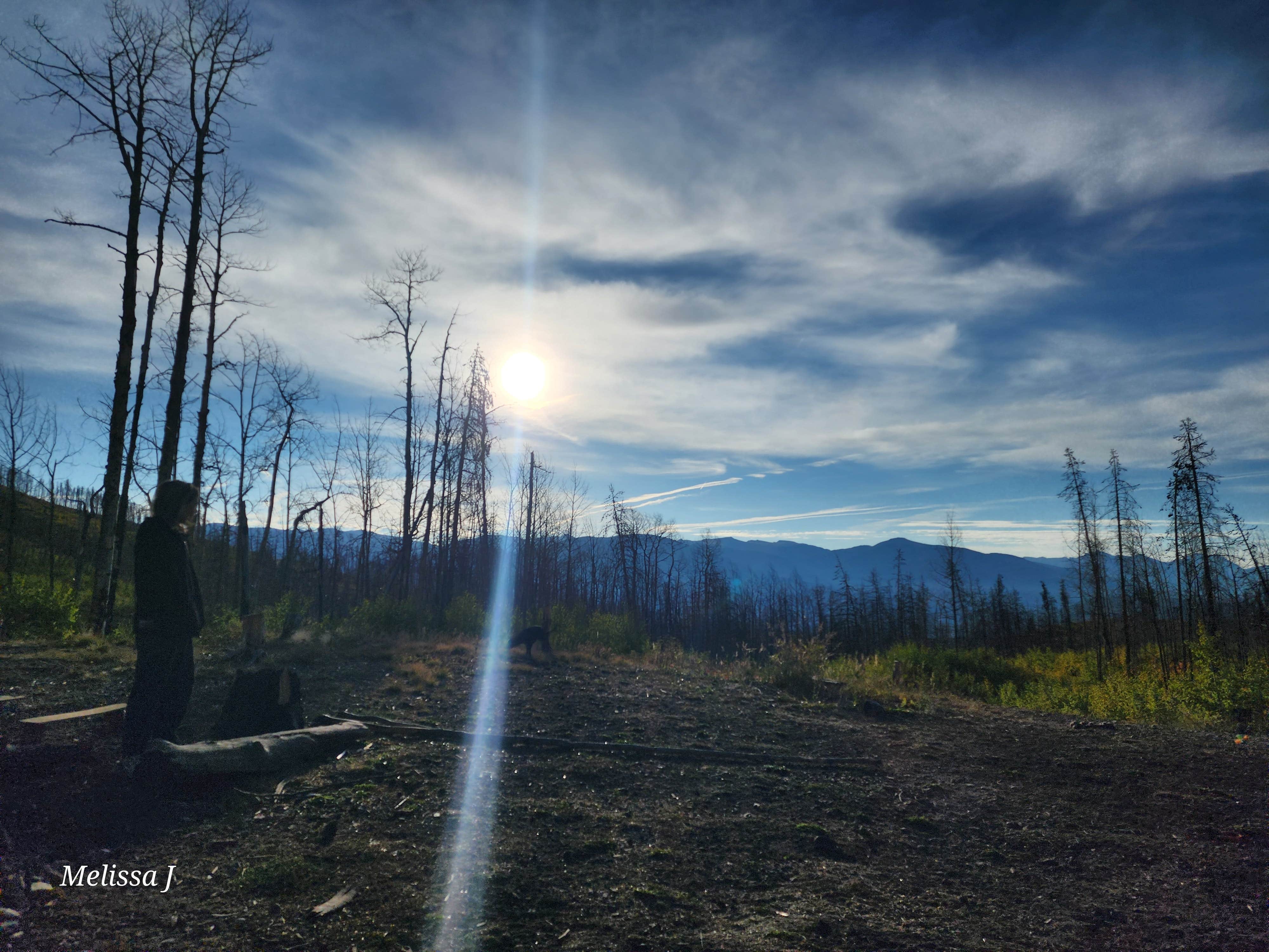 Camper-submitted photo at Country Road 455 Camp near Grand Lake, CO