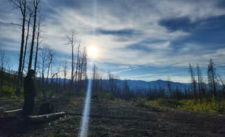 Melissa J.'s photo of camping with pets at Country Road 455 Camp near Rocky Mountain National Park