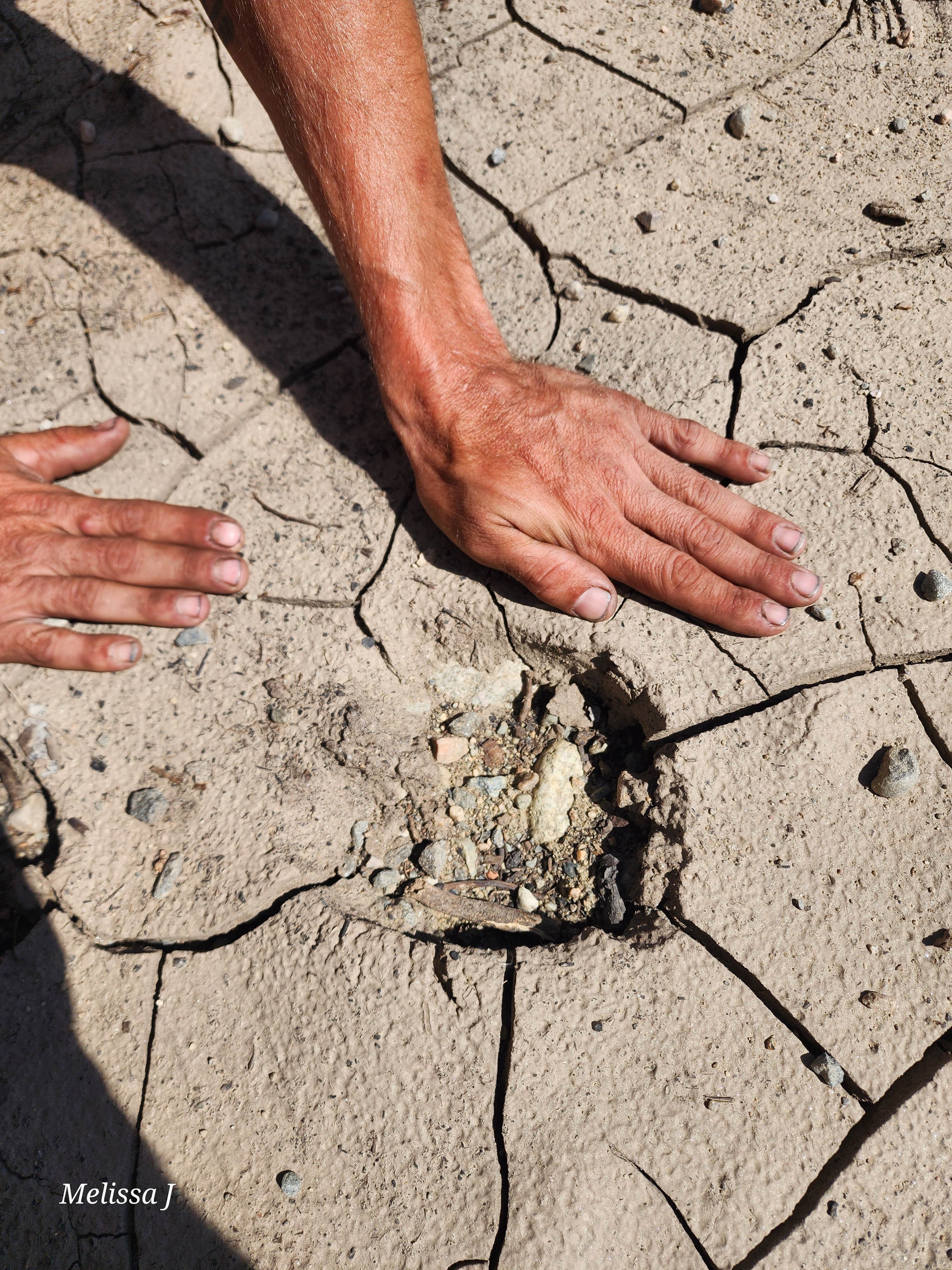 Camper-submitted photo at Country Road 455 Camp near Grand Lake, CO