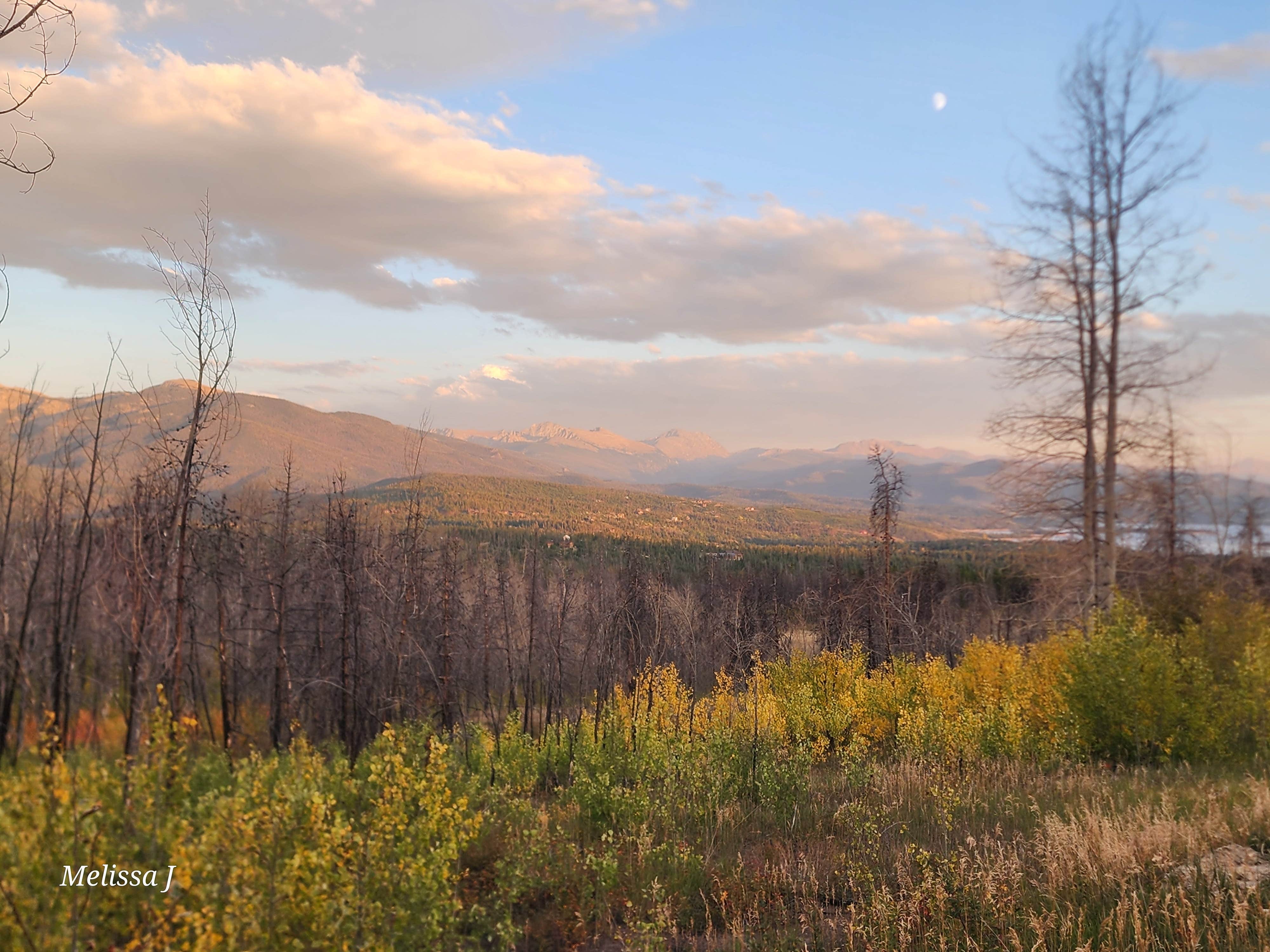 Camper-submitted photo at Country Road 455 Camp near Grand Lake, CO