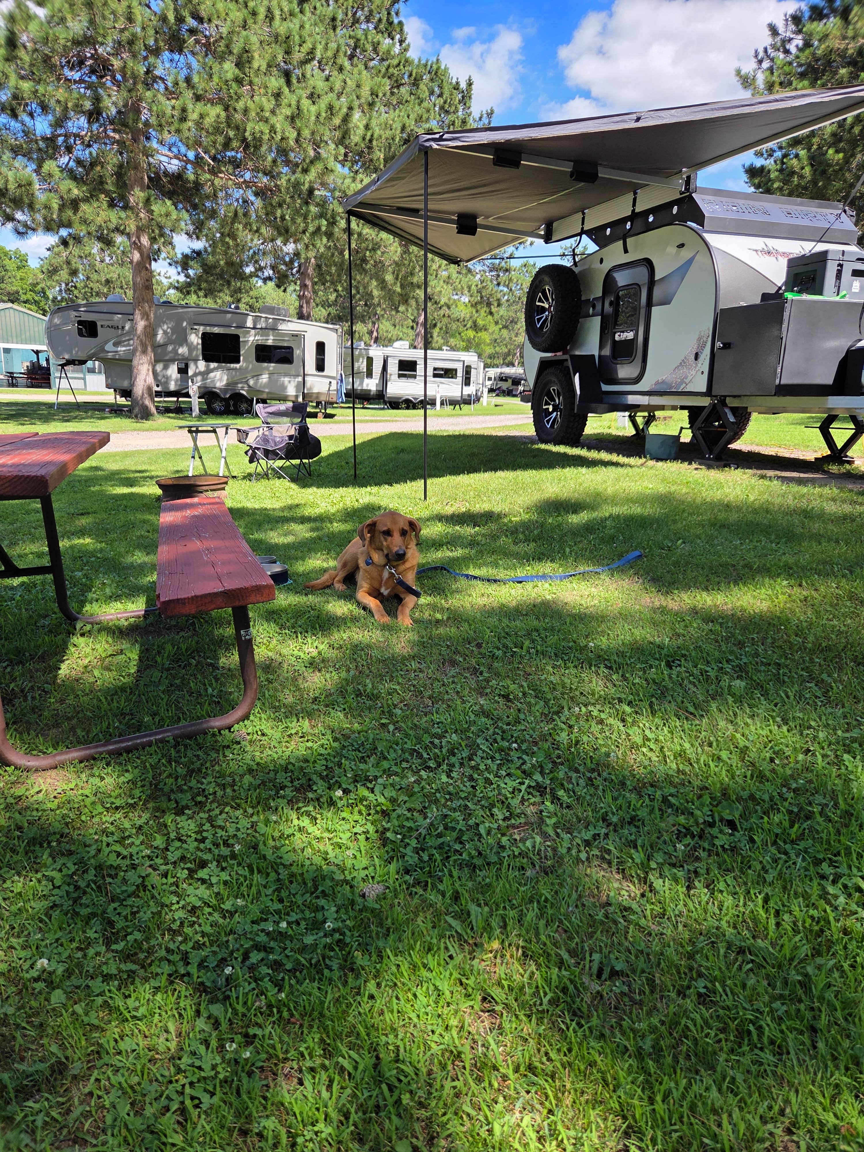 Camping near Sandstone Ridge Campground — Mirror Lake State Park: Country Roads Motorhome & RV Park, Lake Delton, Wisconsin