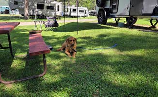 j S.'s photo of rv camping at Country Roads Motorhome & RV Park near Mazomanie, WI