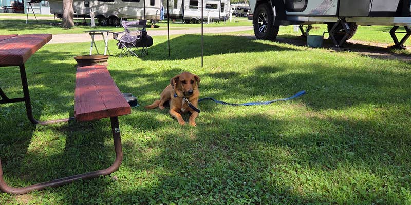 Camper submitted image from Country Roads Motorhome & RV Park