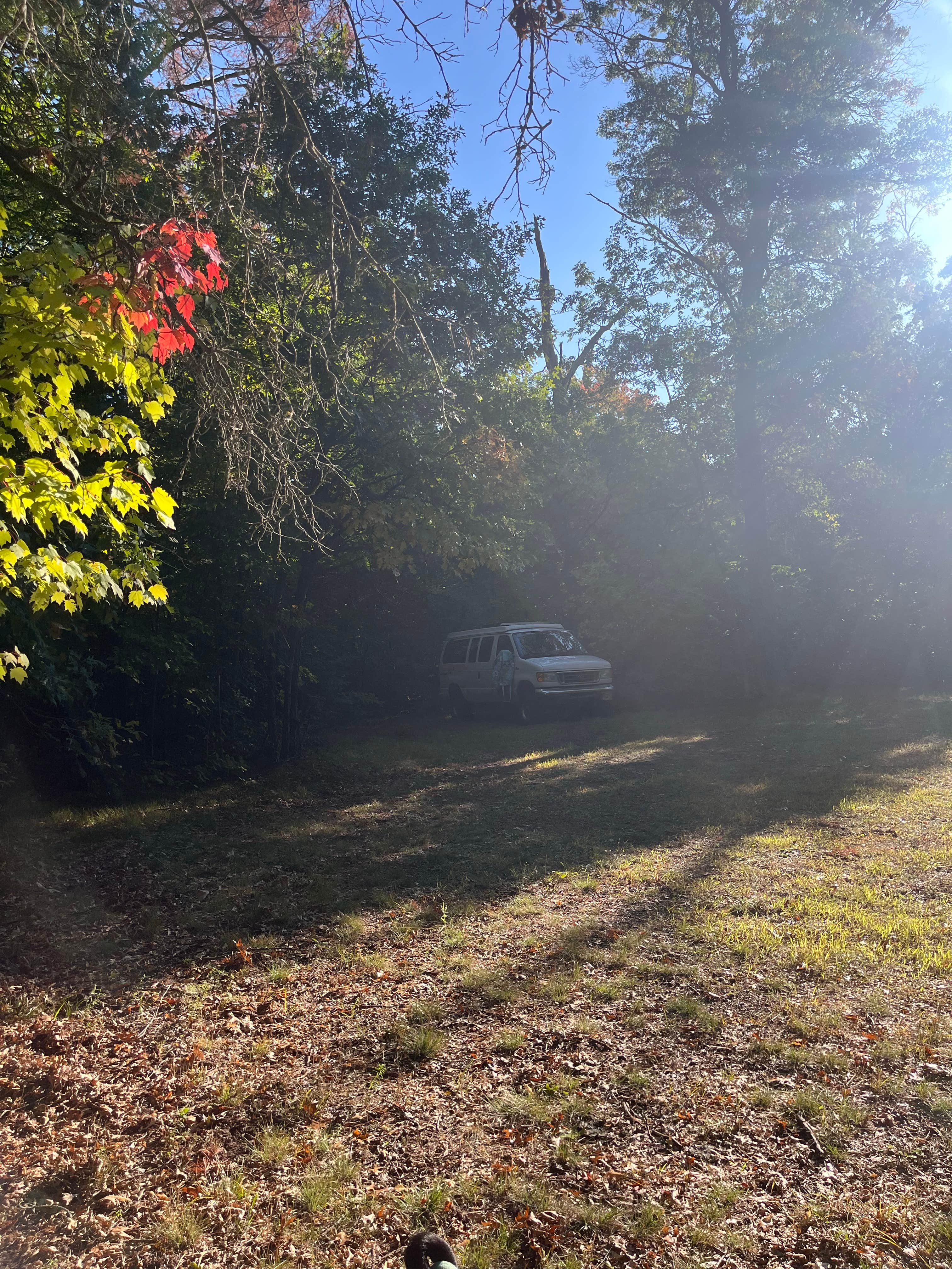 Camper submitted image from County Road O Landing Dispersed River Camp — Saint Croix National Scenic Riverway - 1