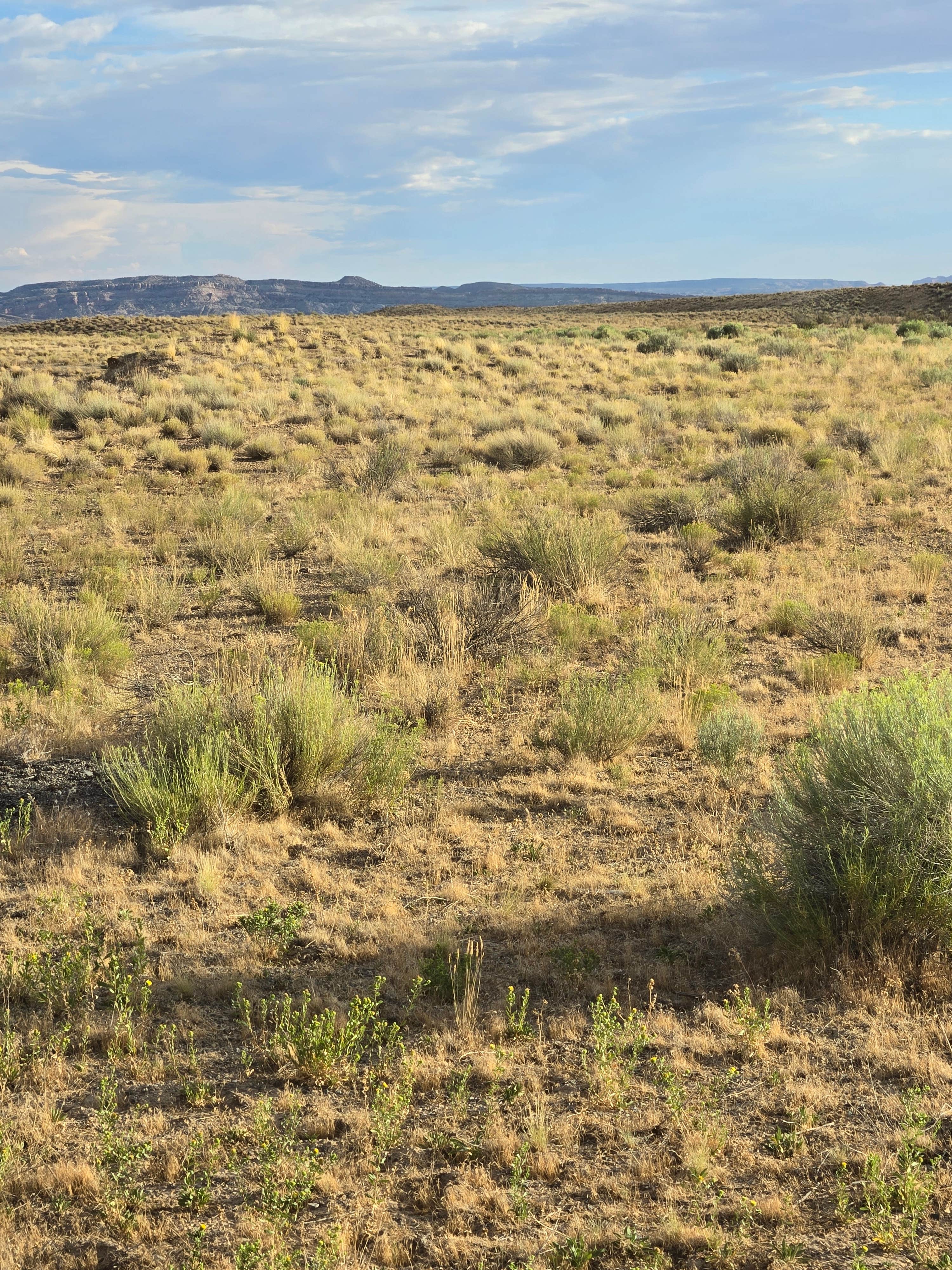 Camper-submitted photo at County Road #146 BLM dispersed near Thompson, UT