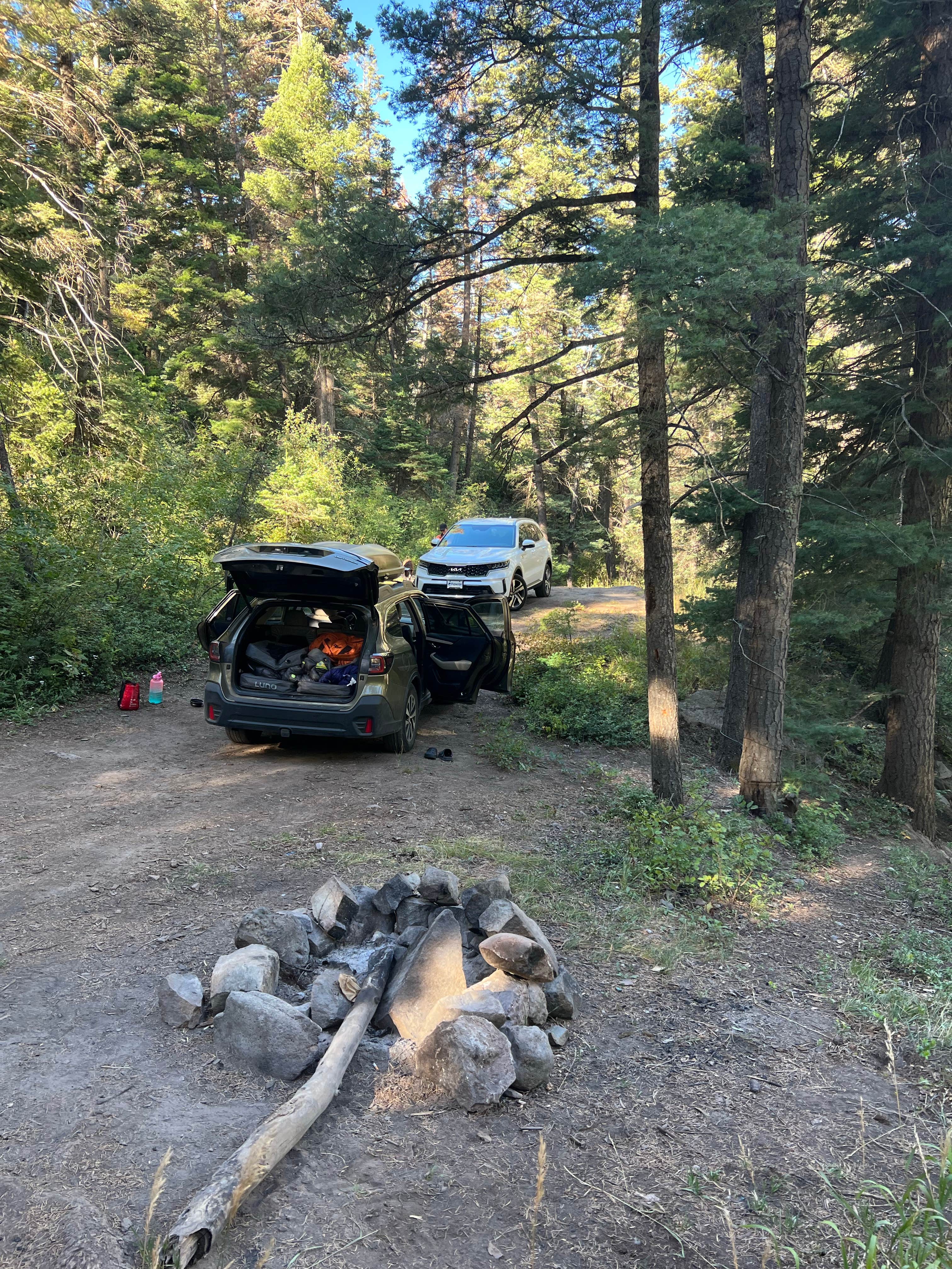 Camper-submitted photo at County Road 14, Dexter Creek Backcountry near Ouray, CO