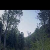 Review photo of County Road 14, Dexter Creek Backcountry by Lori J., May 29, 2025